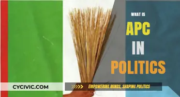 Understanding APC: Nigeria's All Progressives Congress Political Party Explained