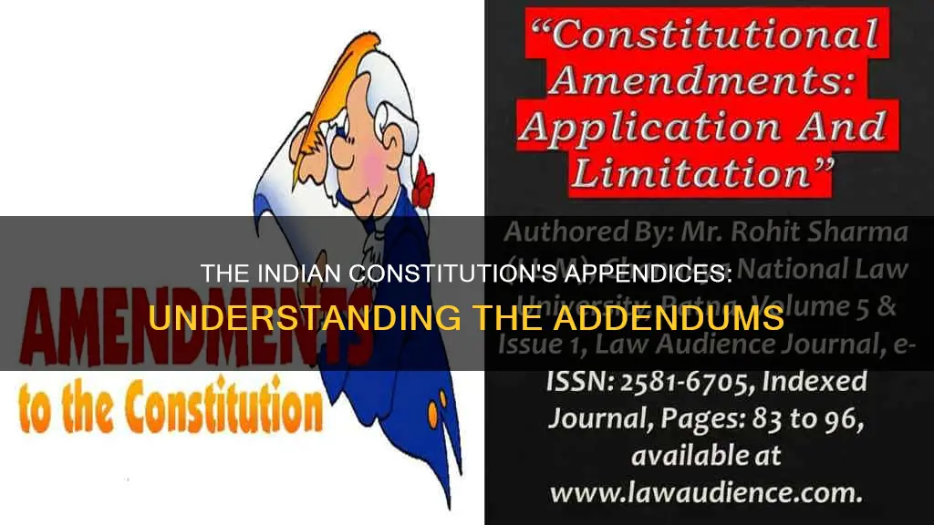 what is appendices in indian constitution