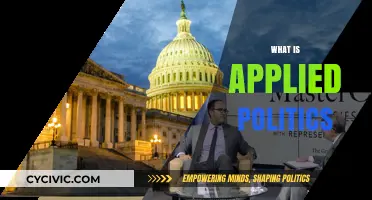 Understanding Applied Politics: Real-World Strategies and Practical Implications