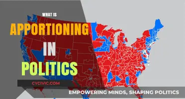 Understanding Apportioning: How Political Power is Distributed in Democracies
