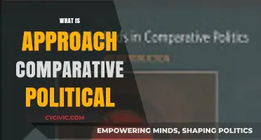 Understanding Comparative Politics: Methods, Theories, and Global Perspectives