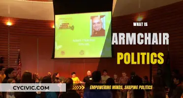 Understanding Armchair Politics: Passive Engagement in Today's Political Landscape