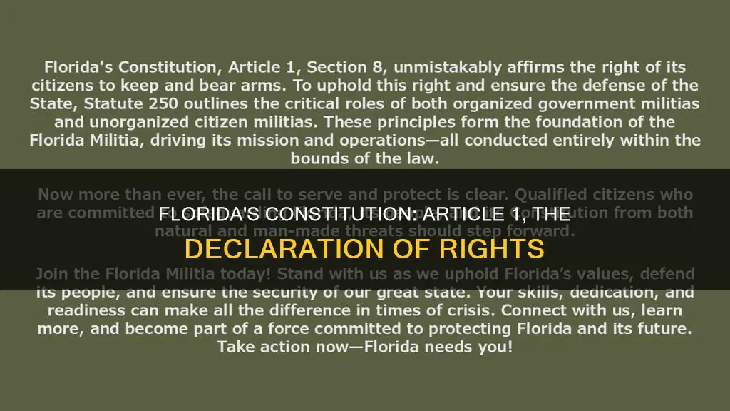 what is article1 of florida constitution known as