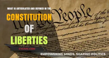 The Constitution of Liberties: Our Rights and Freedoms