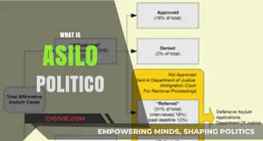 Understanding Asilo Politico: A Comprehensive Guide to Political Asylum