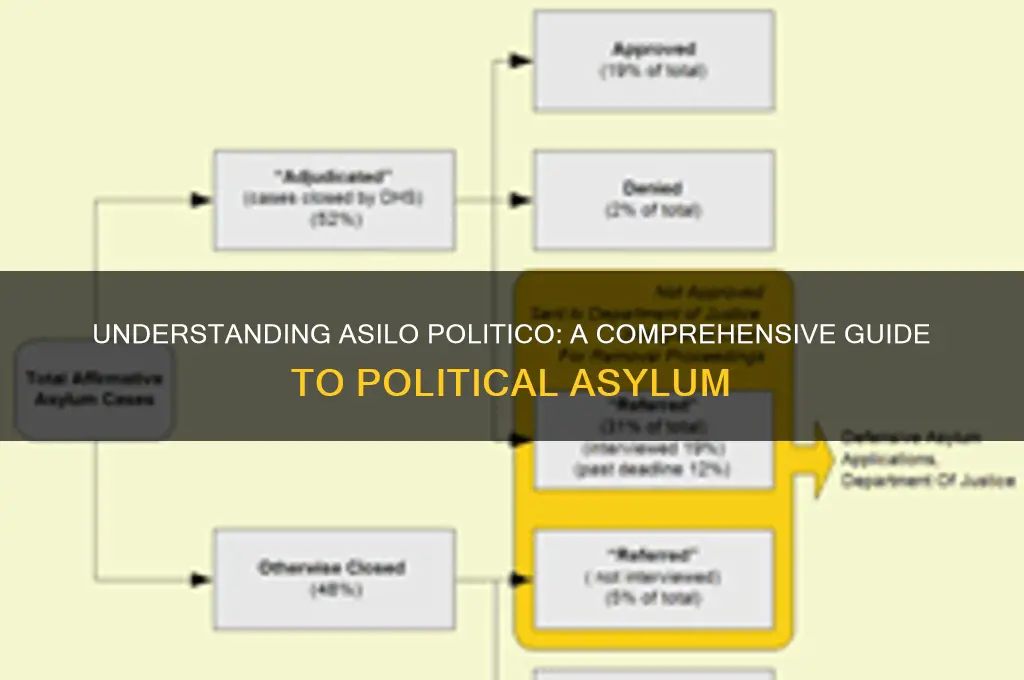 what is asilo politico