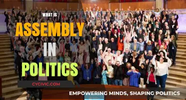 Understanding Political Assemblies: Their Role, Function, and Impact in Governance