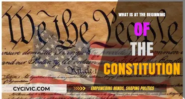 The Constitution's Opening: A Foundation for Freedom
