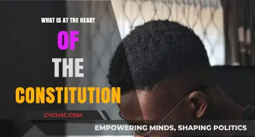 The Constitution's Heart: Democracy and Freedom