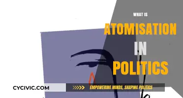 Understanding Atomisation: How Political Fragmentation Shapes Modern Societies