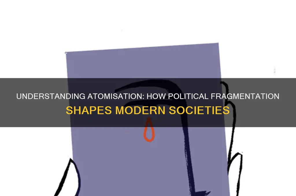 what is atomisation in politics