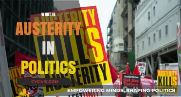 Understanding Austerity: Political Strategies, Economic Impacts, and Public Consequences