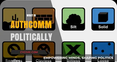 Understanding Authcomm: Political Ideologies, Structures, and Societal Impacts Explained