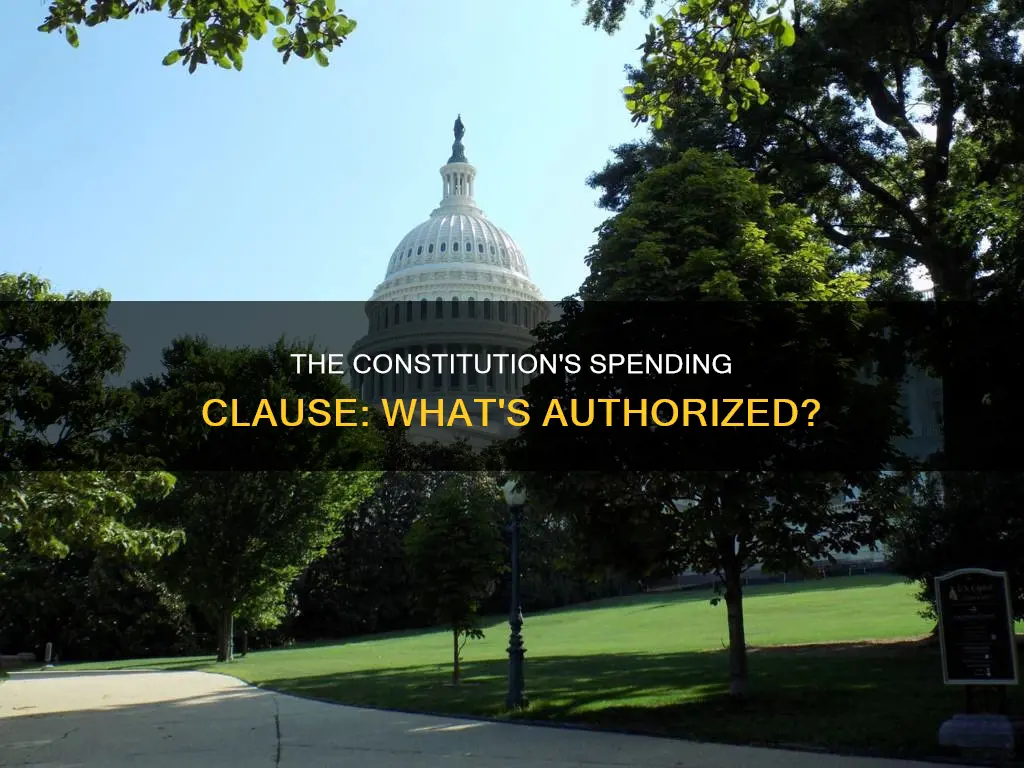what is authorized in the constitution to be paid for