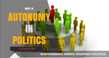Understanding Autonomy: Political Self-Governance and Its Global Implications