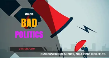 Understanding the Destructive Nature of Bad Politics and Its Impact