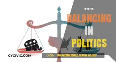 Balancing in Politics: The Art of Power Distribution and Stability