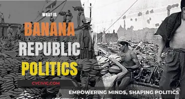 Understanding Banana Republic Politics: Corruption, Inequality, and Power Dynamics Explained