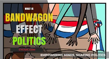 Understanding the Bandwagon Effect: How It Shapes Political Landscapes
