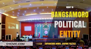 Understanding the Bangsamoro Political Entity: History, Structure, and Significance