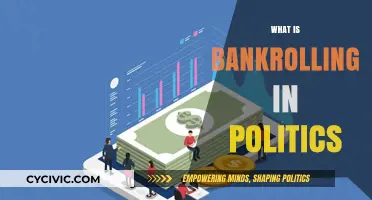 Understanding Bankrolling: The Role of Money in Political Campaigns