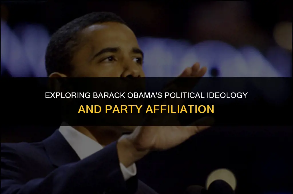 what is barack obamas political affiliation
