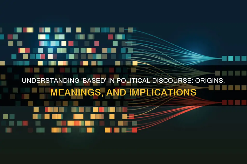 what is based in politics