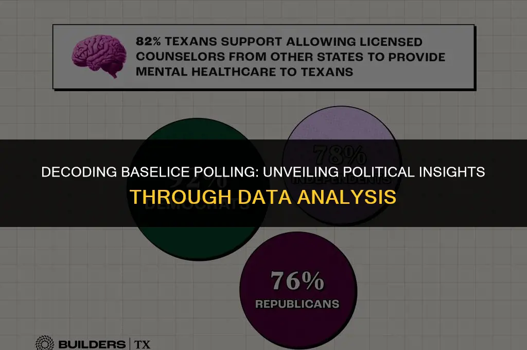 what is baselice polling politically views
