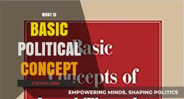 Understanding the Core: Exploring the Basic Political Concept
