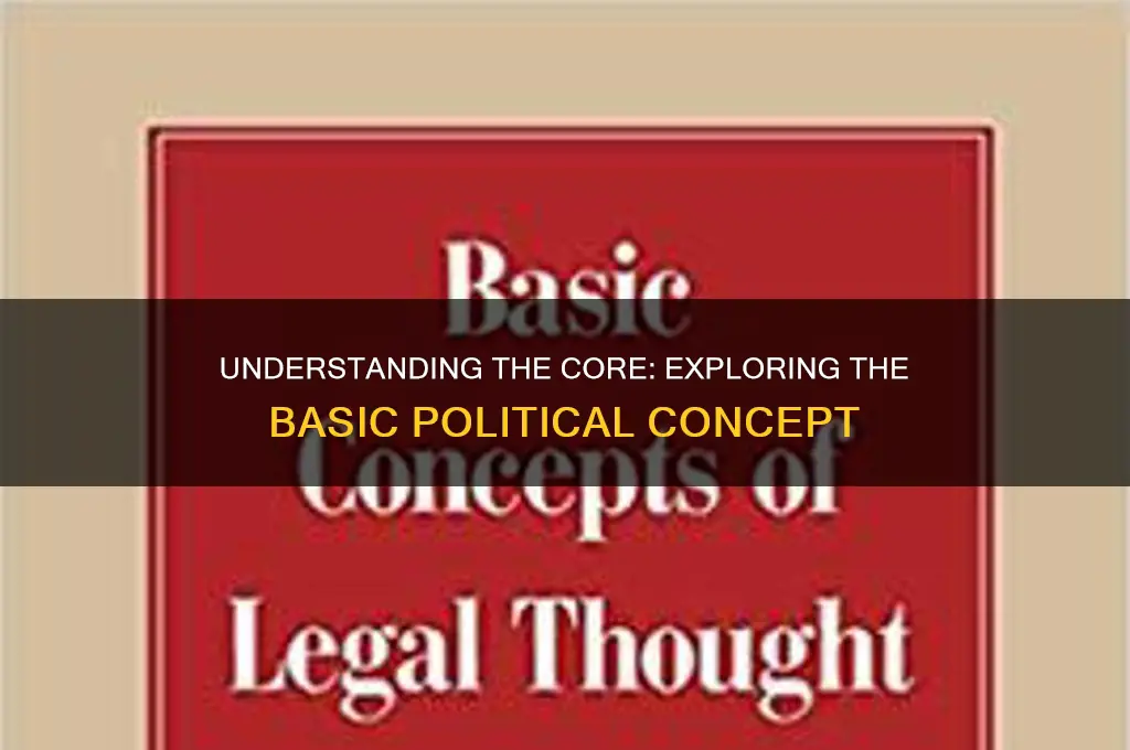 what is basic political concept