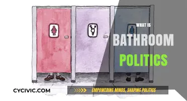 Understanding Bathroom Politics: Gender, Identity, and Public Space Debates
