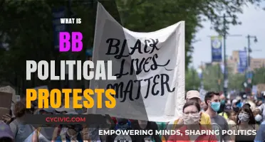 Understanding BB Political Protests: Causes, Impact, and Global Significance