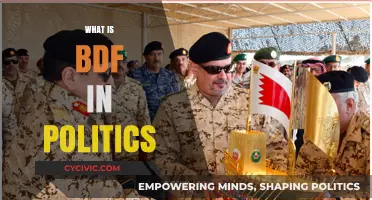 Understanding BDF: Its Role and Impact in Modern Political Landscapes