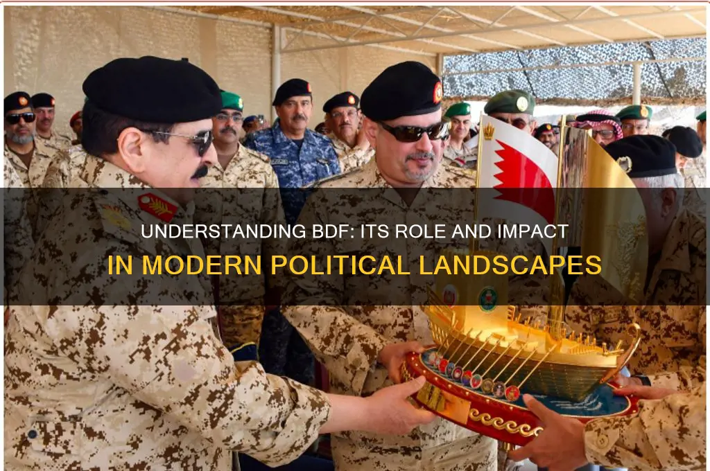 what is bdf in politics