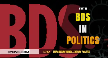Understanding BDS: Political Movement, Goals, and Global Impact Explained