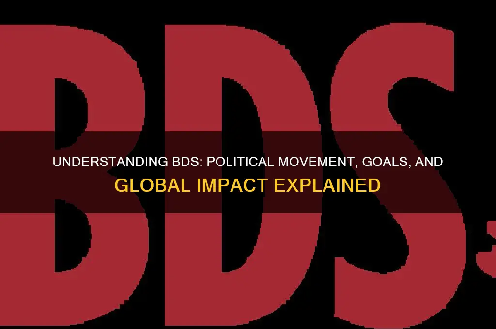 what is bds in politics