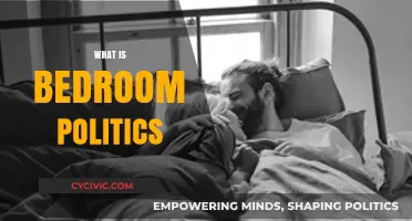 Understanding Bedroom Politics: Power, Intimacy, and Personal Relationships Explained