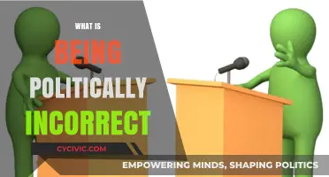 Understanding Political Incorrectness: Navigating Free Speech and Social Norms