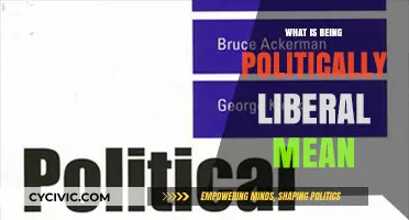 Understanding Political Liberalism: A Comprehensive Guide