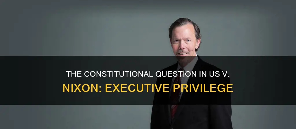what is being questioned constitutionally in us v nixon