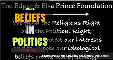 Understanding Political Beliefs: Foundations, Influences, and Societal Impact