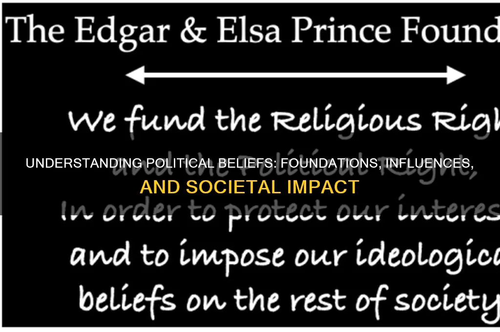 what is beliefs in politics