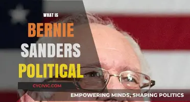 Understanding Bernie Sanders' Political Ideology and Progressive Vision for America