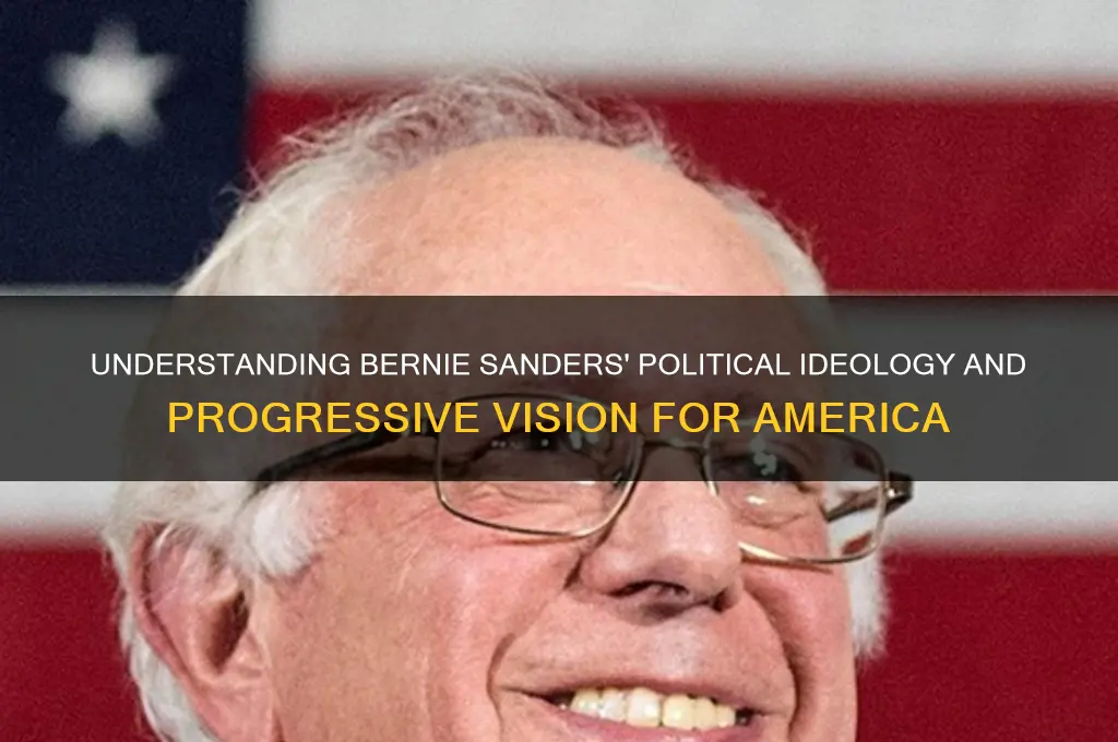 what is bernie sanders political