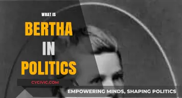 Understanding Bertha: Its Role and Impact in Modern Political Landscapes