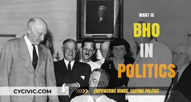 Understanding Bho: Political Implications and Its Role in Modern Governance