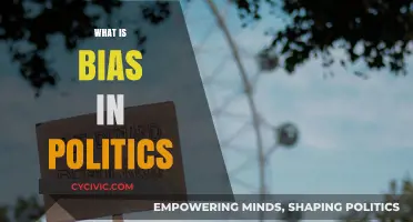 Understanding Political Bias: Its Impact and Influence on Democracy