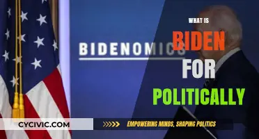 Understanding Biden's Political Stance: Policies, Priorities, and Progressive Vision