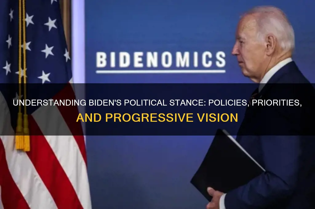 what is biden for politically