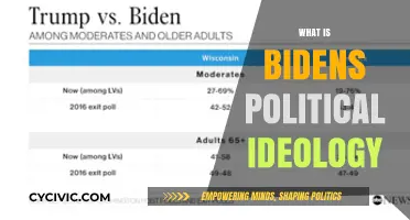 Understanding Biden's Political Ideology: Liberalism, Pragmatism, and Centrism Explained